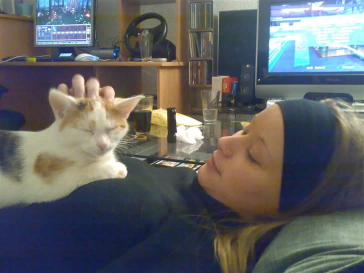 Blanding af racer Kida *solgt* - Migh og Kida billede 9