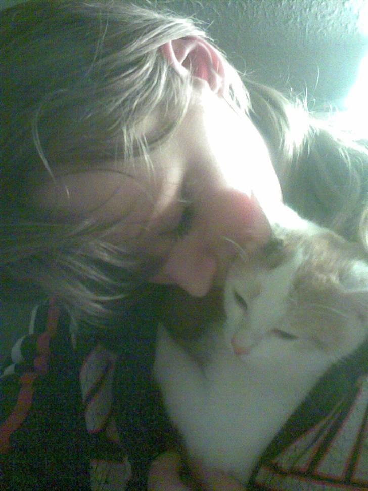 Blanding af racer Kida *solgt* - Kida er der altid for mig hehe billede 10