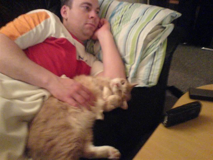 Huskat Audi * RIP* billede 11