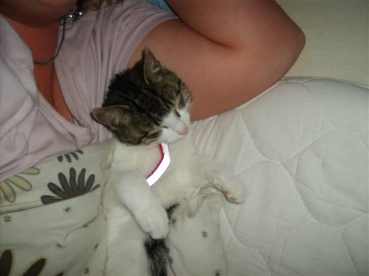 Huskat Trunte † R.I.P. † billede 10