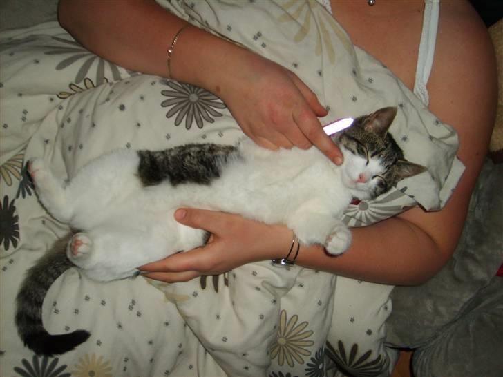 Huskat Trunte † R.I.P. † billede 12