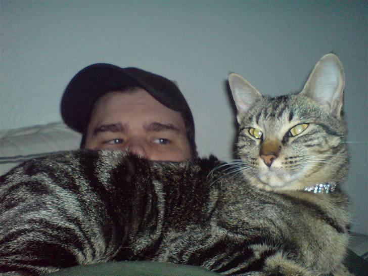 Blanding af racer killing billede 11