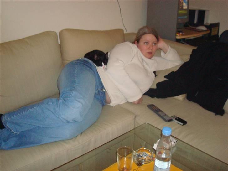 Huskat LilleMis - lille mis og mor  billede 7