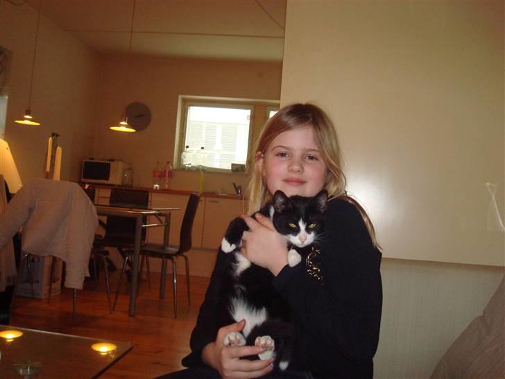 Huskat LilleMis - mig og lille mis billede 9