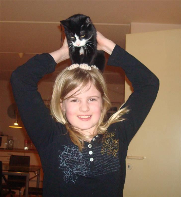 Huskat LilleMis - se mig balancere hjælp!!!!!!!!!!!!! billede 18