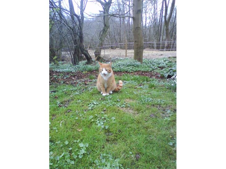 {{currentPhoto.altText}} billede {{currentPhoto.number}}