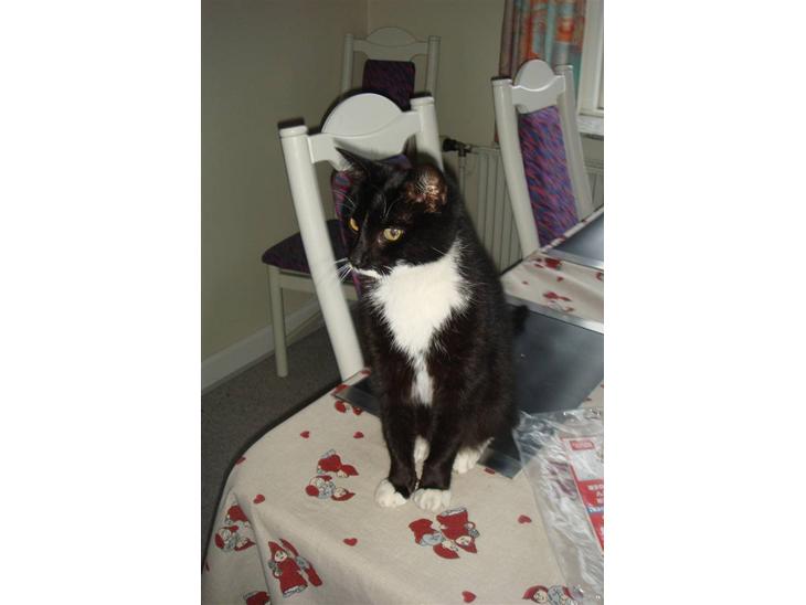 {{currentPhoto.altText}} billede {{currentPhoto.number}}