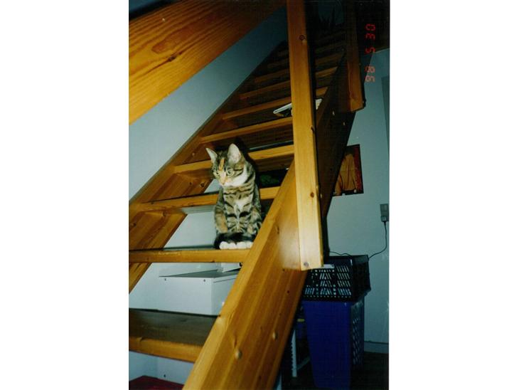 {{currentPhoto.altText}} billede {{currentPhoto.number}}