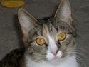 Huskat Hemmi * R.I.P *  †