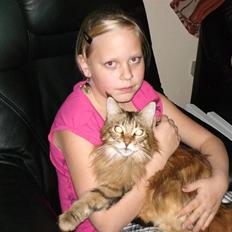 Maine Coon Jasmin alias Sasi