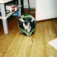 Huskat Hemmi * R.I.P *  †