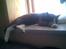 Huskat Frodo rip d. 8-8-07