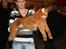 Somali Dushara Simba Sam