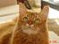 Somali Dushara Simba Sam