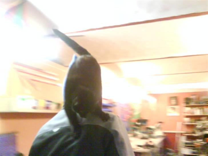 Huskat gustav (Væk!) billede 4