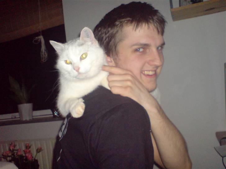 Huskat Bettemis billede 18