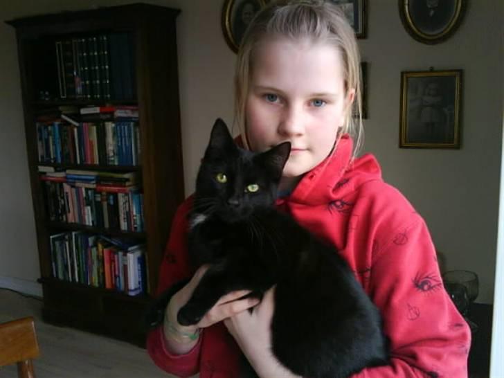 Huskat gustav (Væk!) billede 6