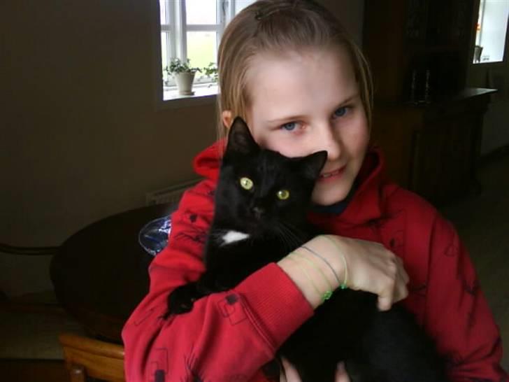 Huskat gustav (Væk!) billede 7