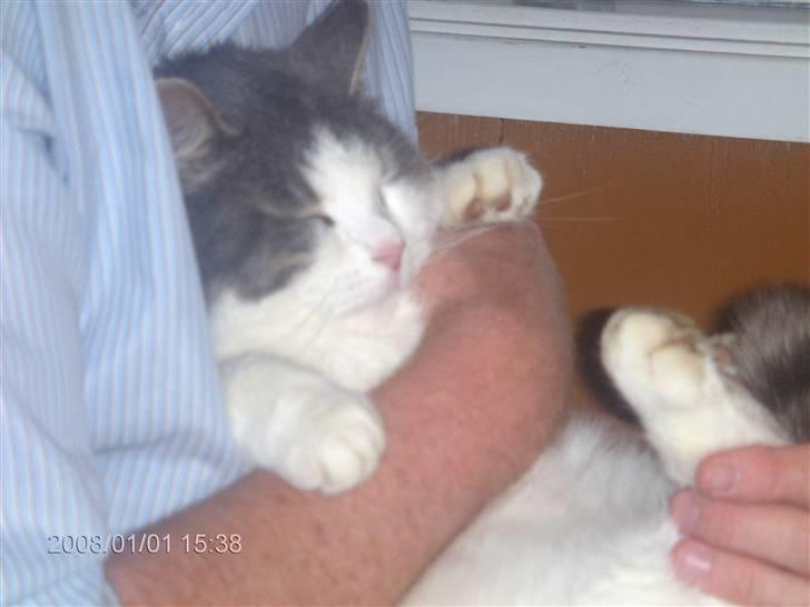 Huskat migo - mig og far..vi hygger billede 7