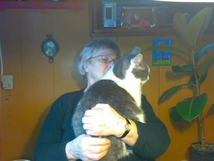 Huskat migo - hurra farmor er på besøg.... billede 9