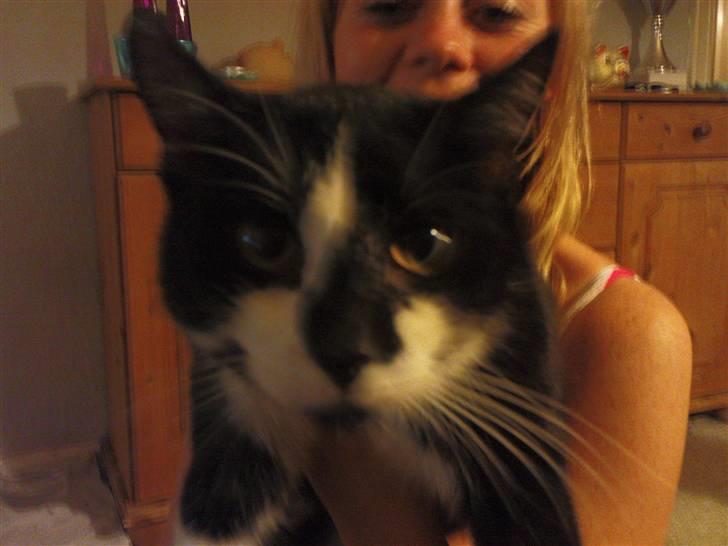 Blanding af racer samson R.I.P!)': - Hej med dig!:) billede 8