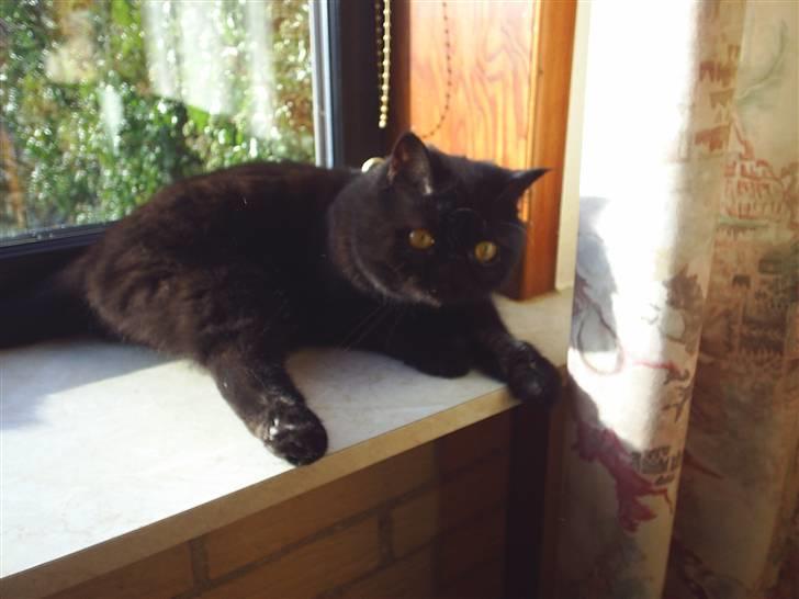 Exotic Yan - der ligger Yan og slapper a billede 10