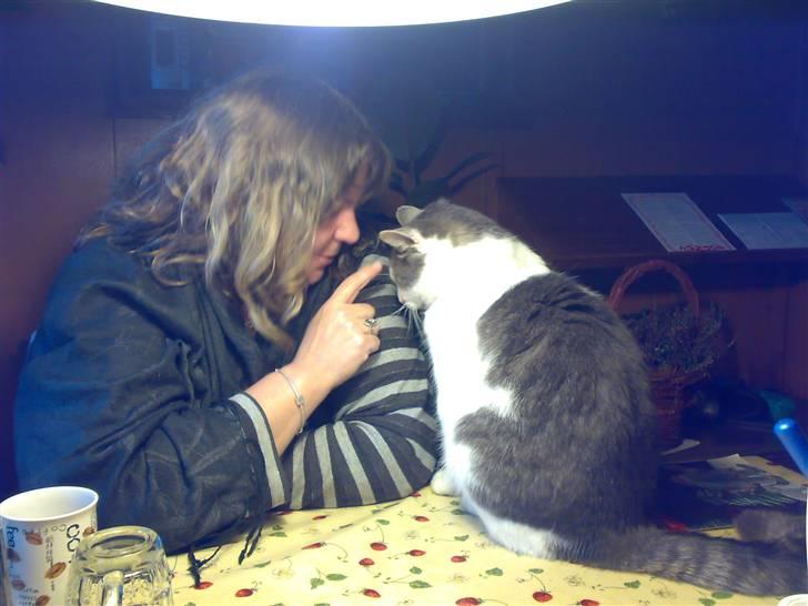 Huskat migo - skideballe af mor.... billede 12