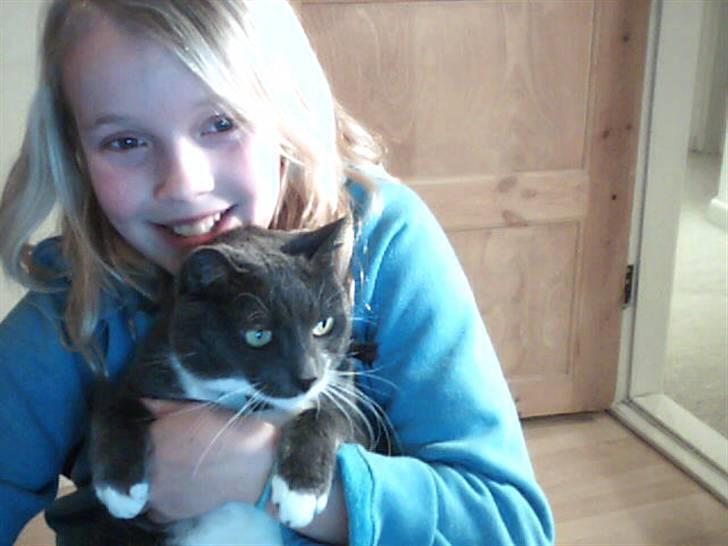 Blanding af racer Signe billede 4