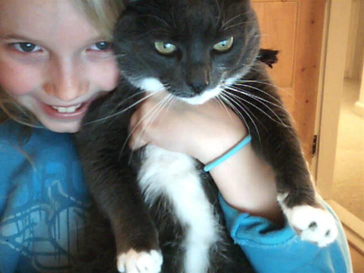 Blanding af racer Signe billede 5