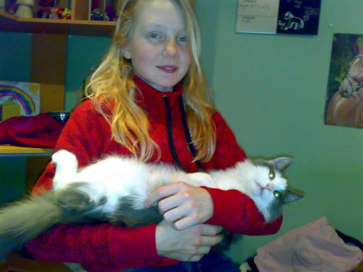 Huskat buller<3333 billede 19