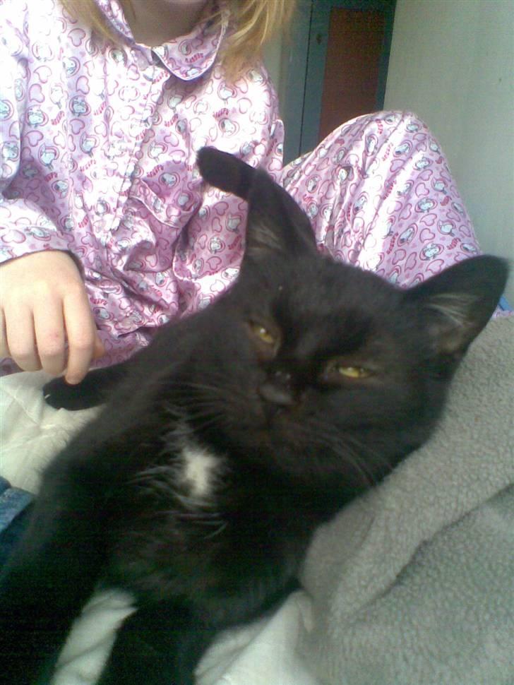 Huskat Perle billede 3