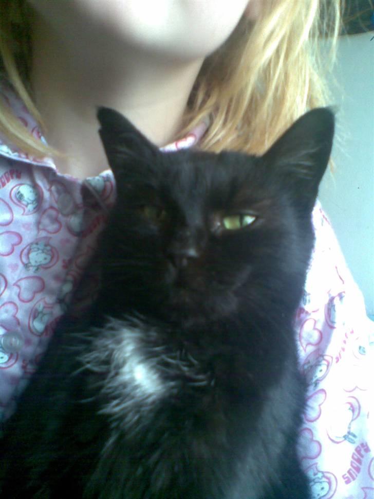 Huskat Perle billede 6