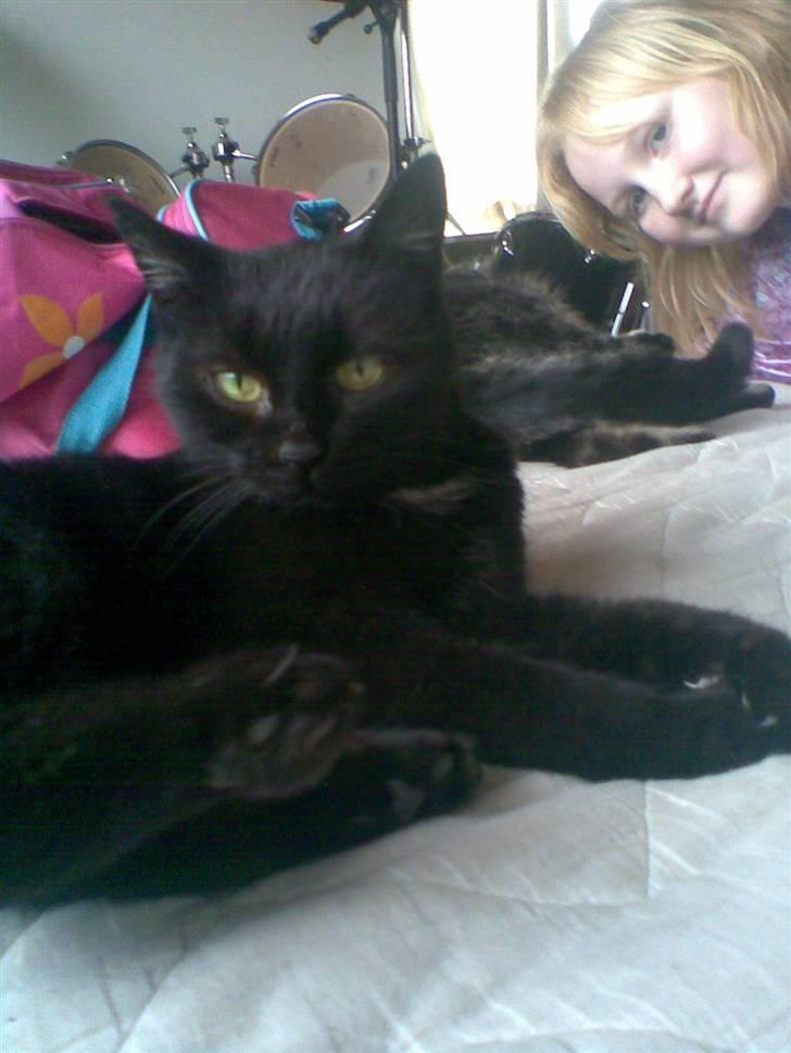 Huskat Perle billede 8