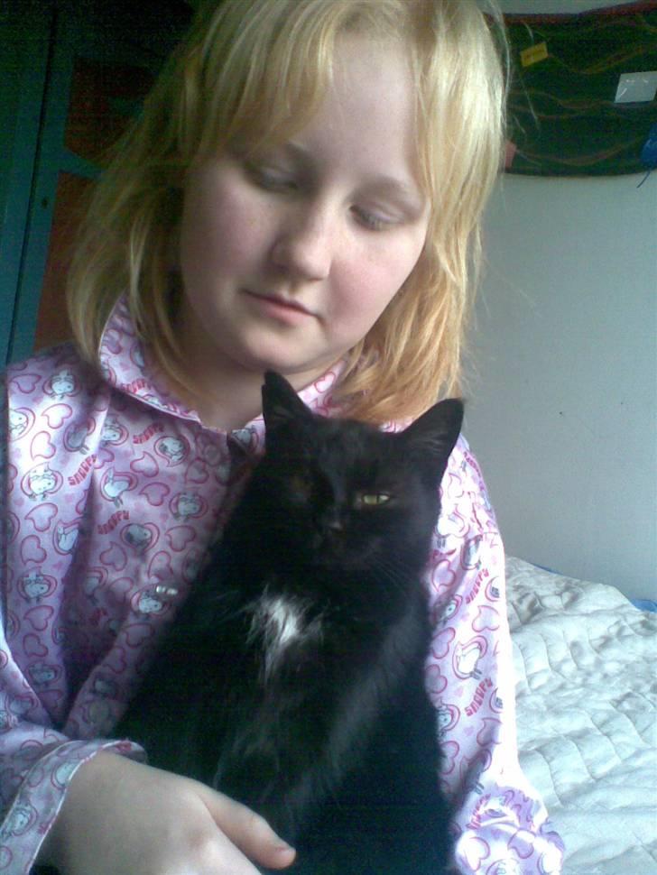 Huskat Perle billede 15