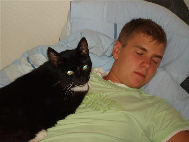 Huskat Trunte DØD billede 3