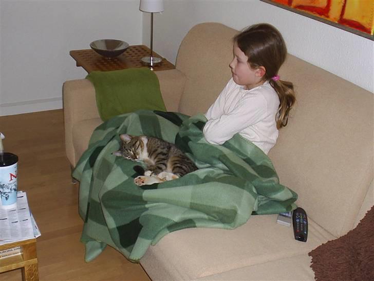 Huskat Mille<3 Død billede 4