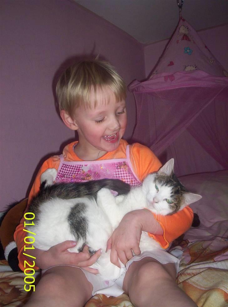 Huskat Mimi billede 9