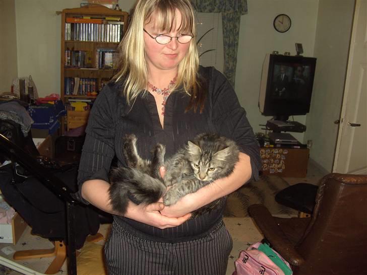 Blanding af racer bølle - mor slip mig... billede 5