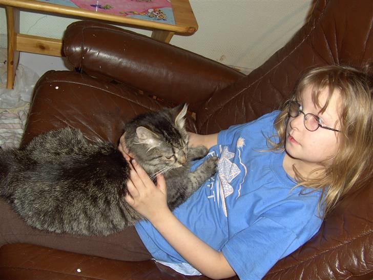 Blanding af racer bølle billede 10