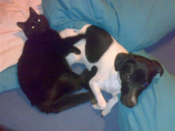 Huskat Mikkel - iiih mor, hvor skal du hele tiden ta´ billeder hva?  billede 14