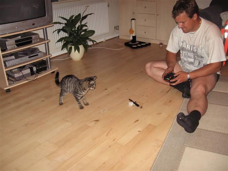 Huskat Fighter - leger lidt med en lille helikopter billede 5