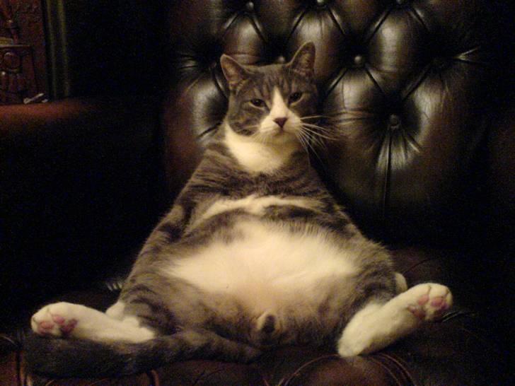 Huskat Jesper - Jesper der flader ud ;) billede 1