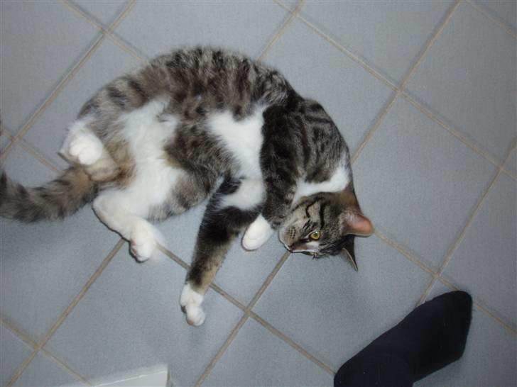 Huskat Cero | Væk :'/ - jeg savner dig mis ): billede 13