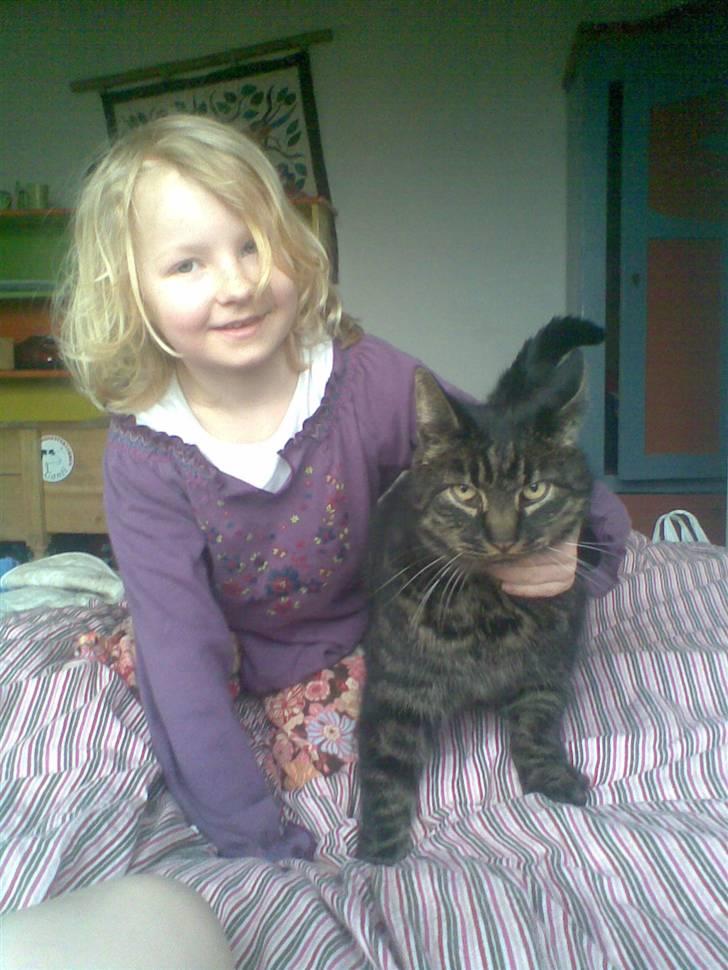 Huskat Kalle billede 3