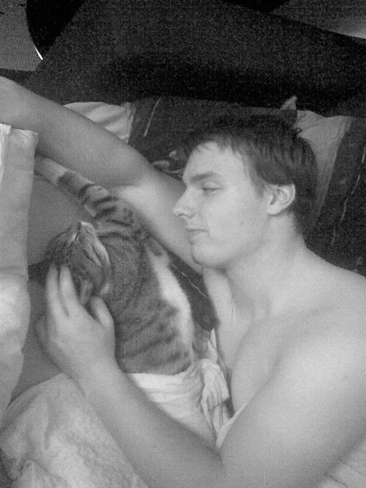 Blanding af racer Simba billede 9