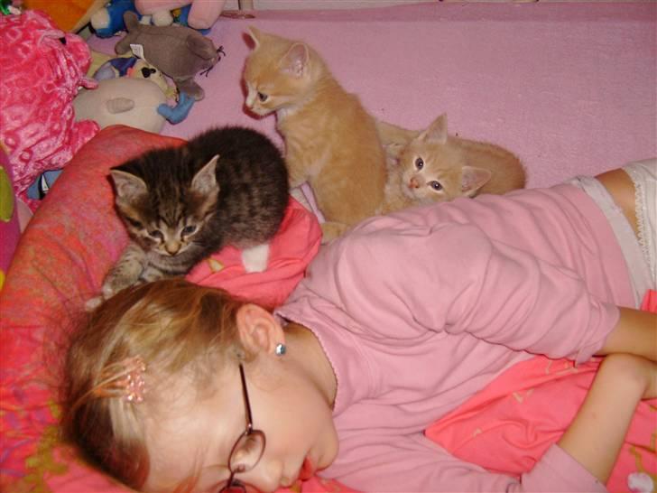 Huskat Millions | Sine | billede 10