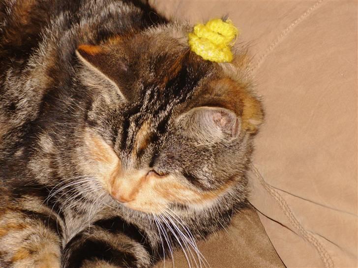 Huskat Millions | †Mille† | billede 16