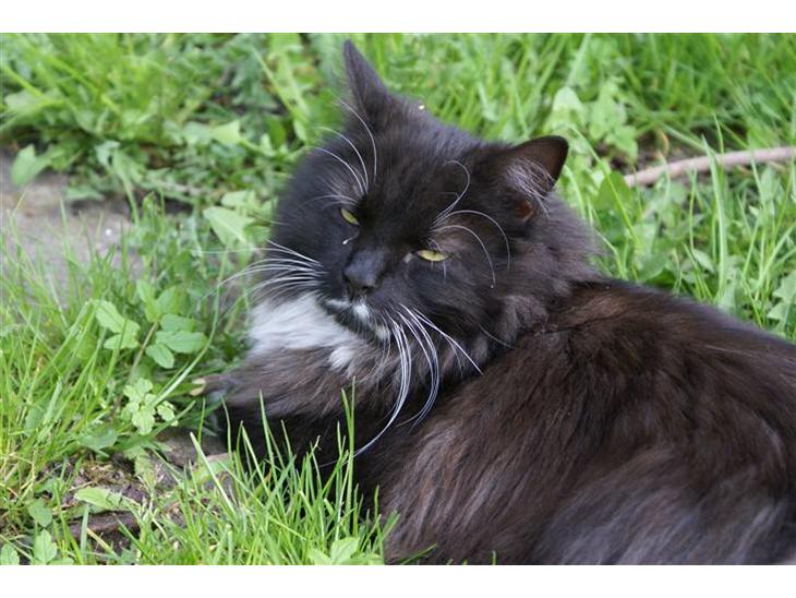 {{currentPhoto.altText}} billede {{currentPhoto.number}}