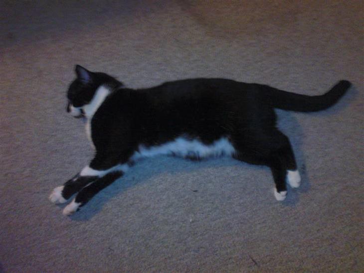 {{currentPhoto.altText}} billede {{currentPhoto.number}}