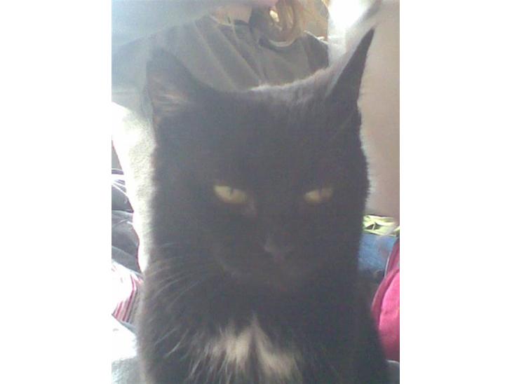 {{currentPhoto.altText}} billede {{currentPhoto.number}}